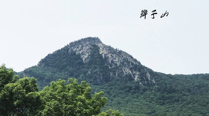通河县铧子山地质森林bbv体育「中国」有限公司官网